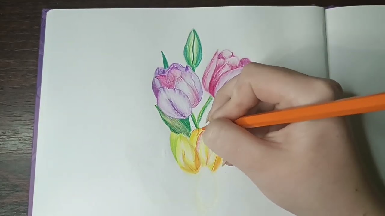 Как нарисовать букет тюльпанов цветными карандашами 💐💐💐