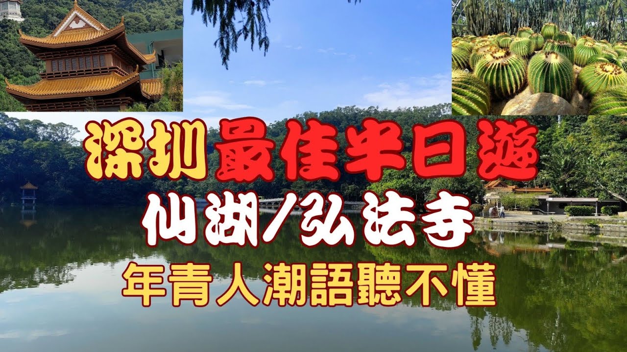 【深圳仙湖植物園】港人半日遊全攻略🌵蓮塘口岸直達！$3巴士VS$10無限搭｜3小時速刷12大景點實測