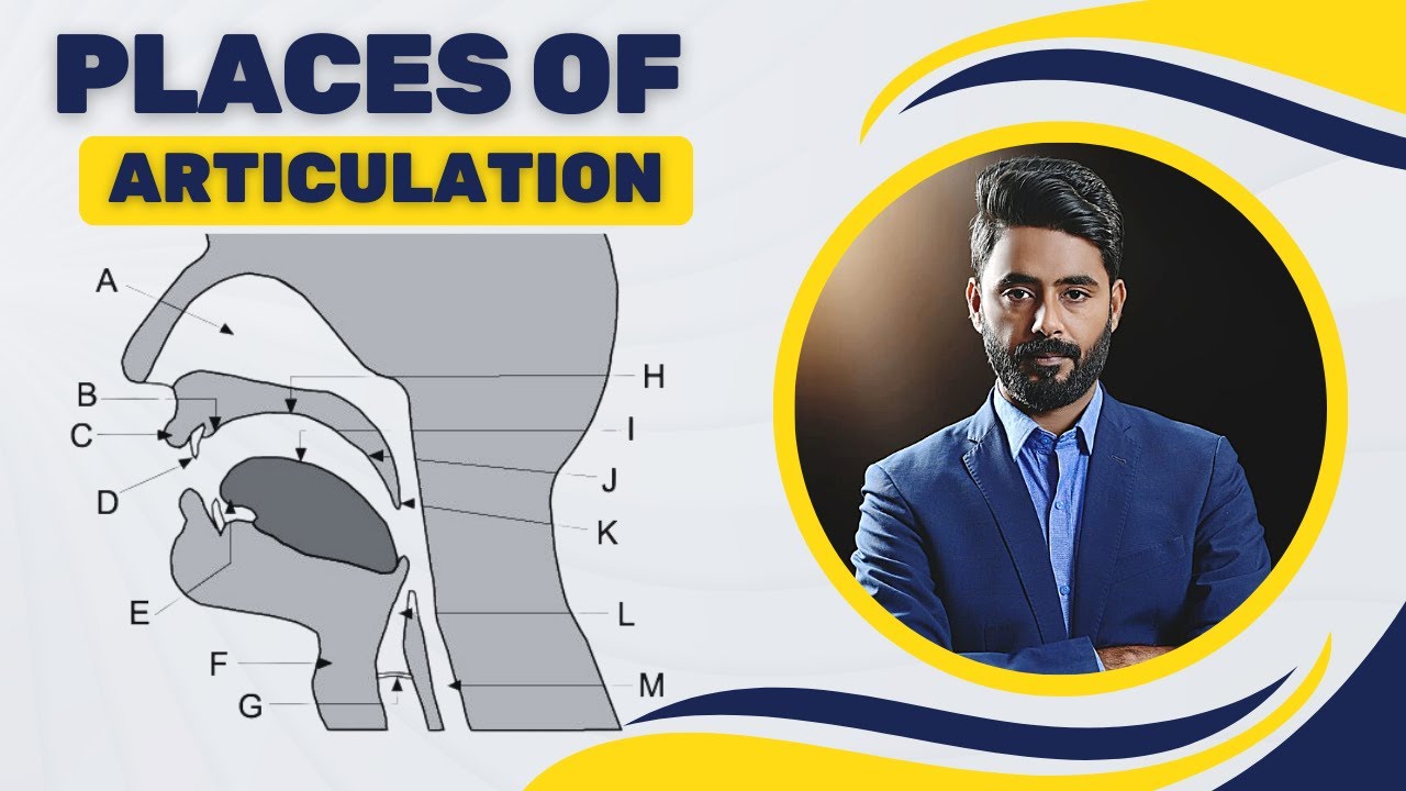 Places of articulation | Phonetics | Linguistics