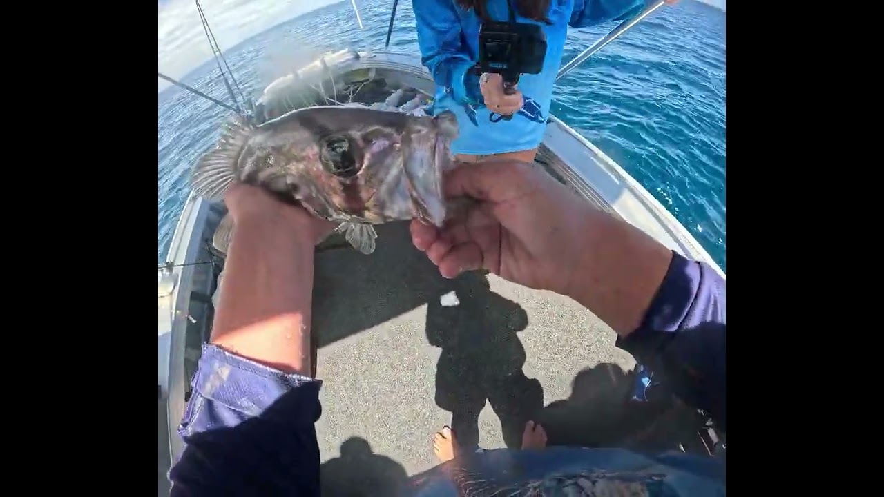 first ever dhufish and break see cod!!!