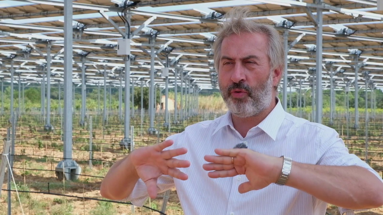 [INNOVER] Première centrale agrivoltaïque au monde