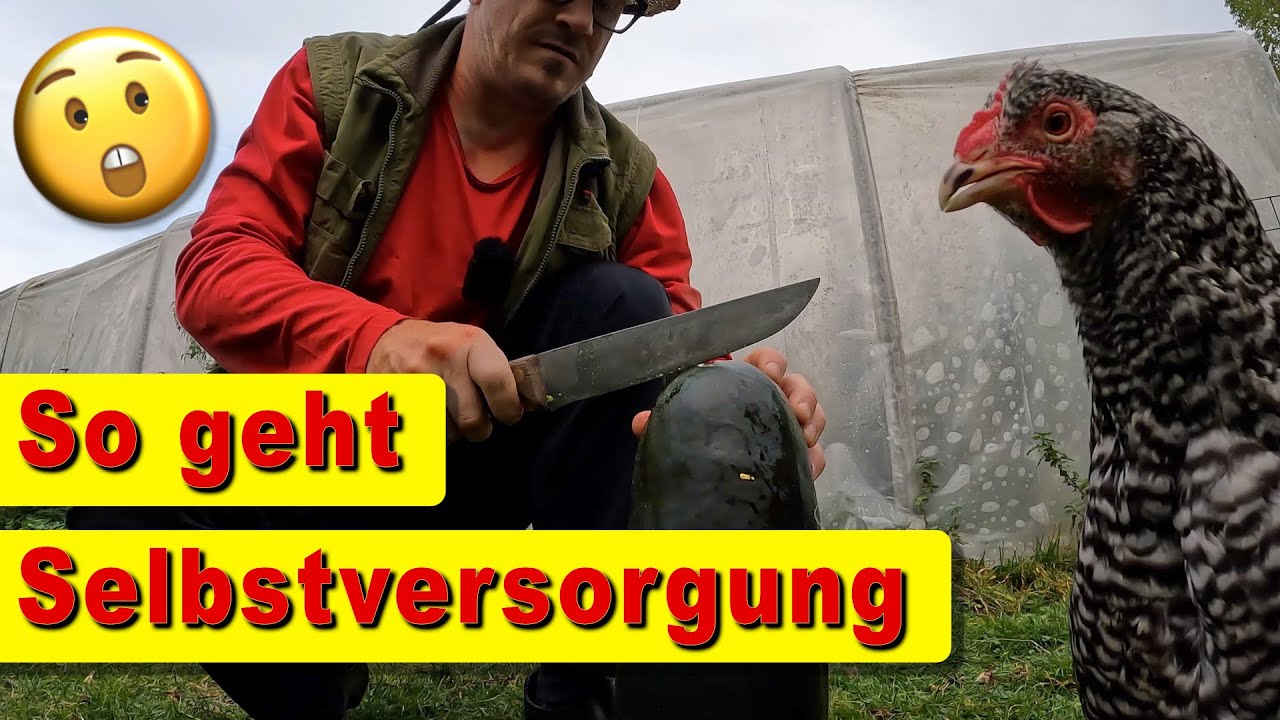 Ernte im Selbstversorger-Garten | Pilze sammeln