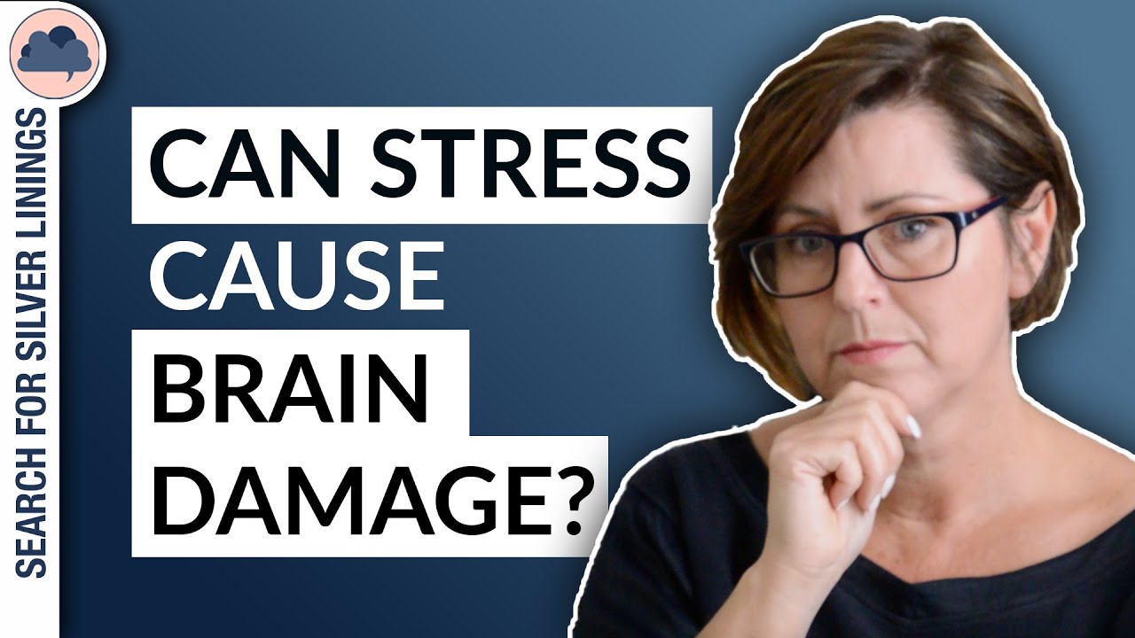Can STRESS cause BRAIN DAMAGE? | My thoughts on this.
