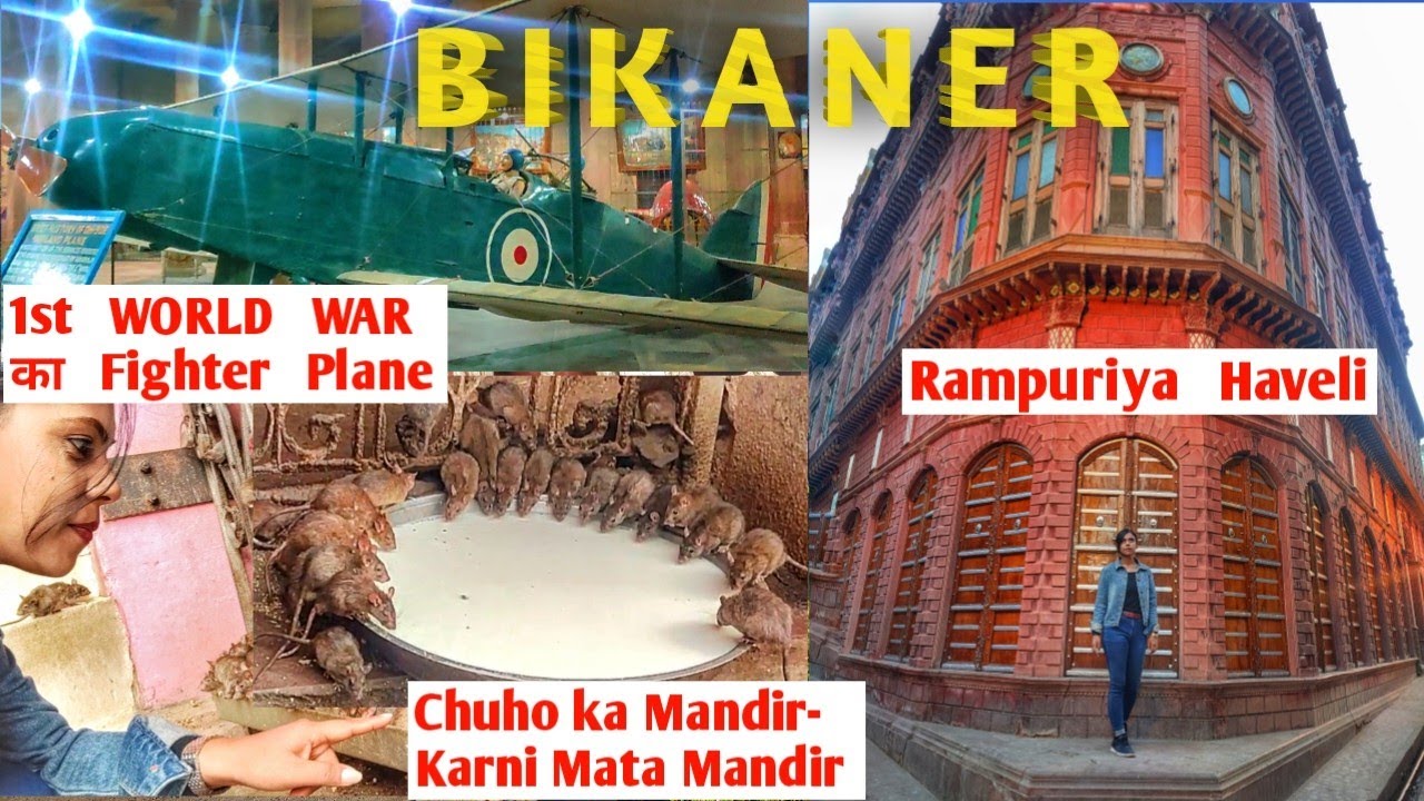 Ep-10 | BIKANER tour in One day | 25000 Chuho wala mandir | World War me Bomb girane wali plane