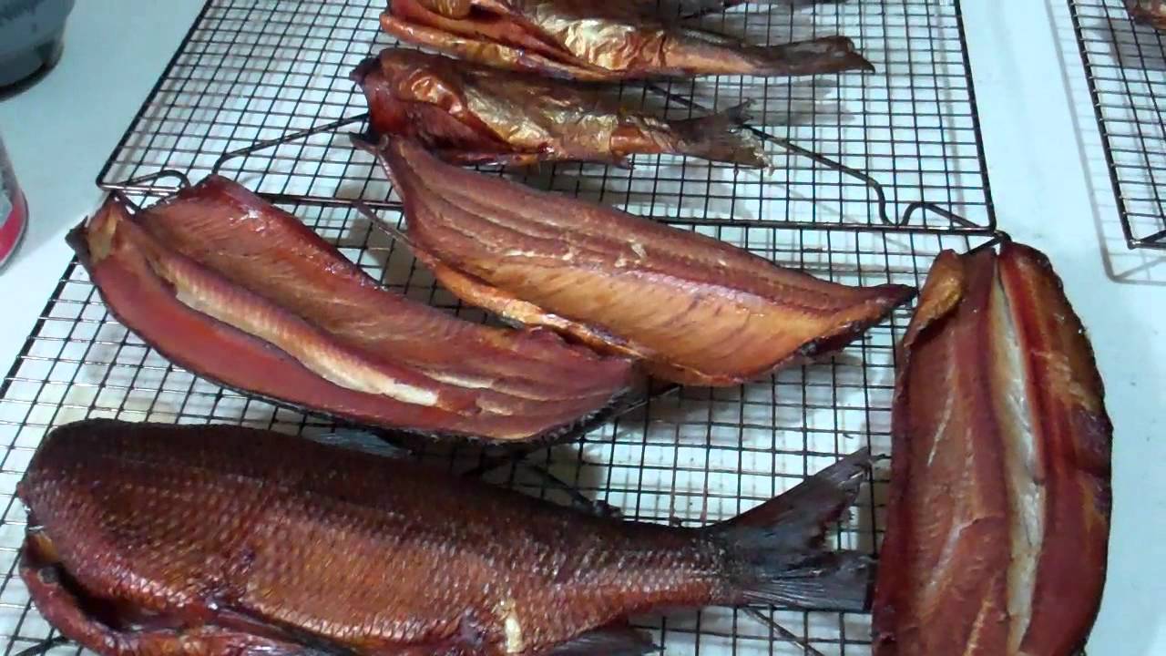 I Am Smoking Whitefish, Northern Pike and Rainbow Trout! Yum ,Yum,Yum!
