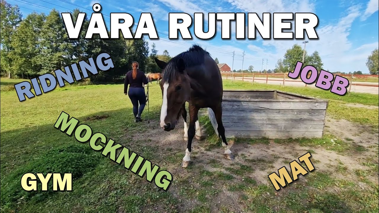 ALLA v&aring;ra rutiner - Stallvlogg