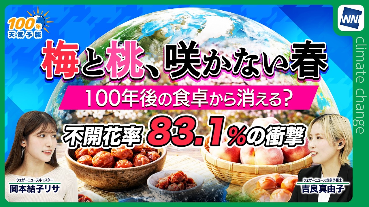 【気候変動番組】100年天気予報~梅と桃、咲かない春/100年後の食卓から消える？ ~