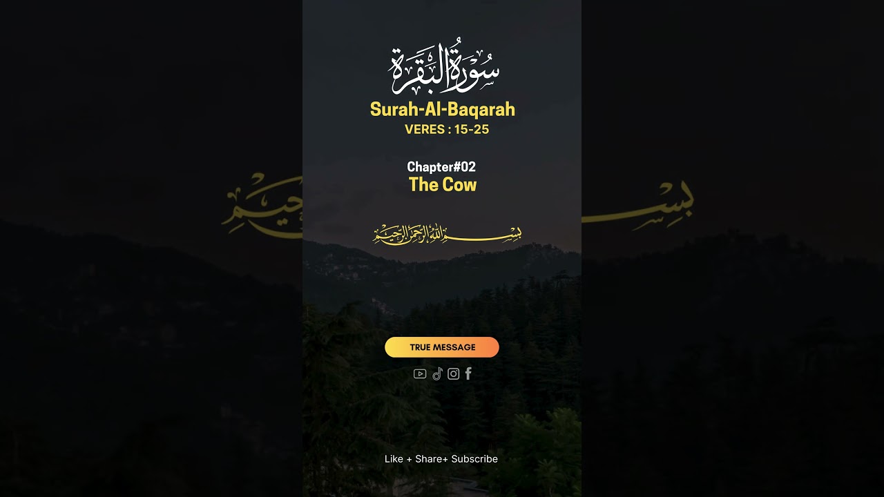 Warning to the hypocrites  call to truth #quranwithtranslation #allah #quran #quraninenglish #usa