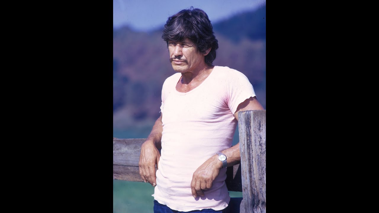 Cinema Cool: Best Charles Bronson Badass Moments Part 2