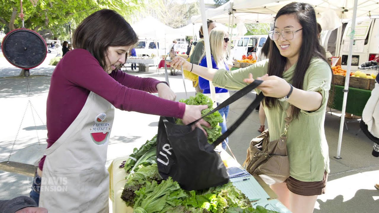 UC Davis Extension IEPP Students