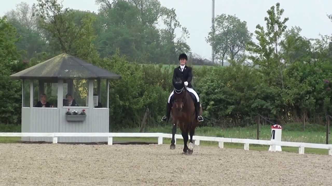 Danmarksmesterskab for junior 2013 - ICJ 65,9 %