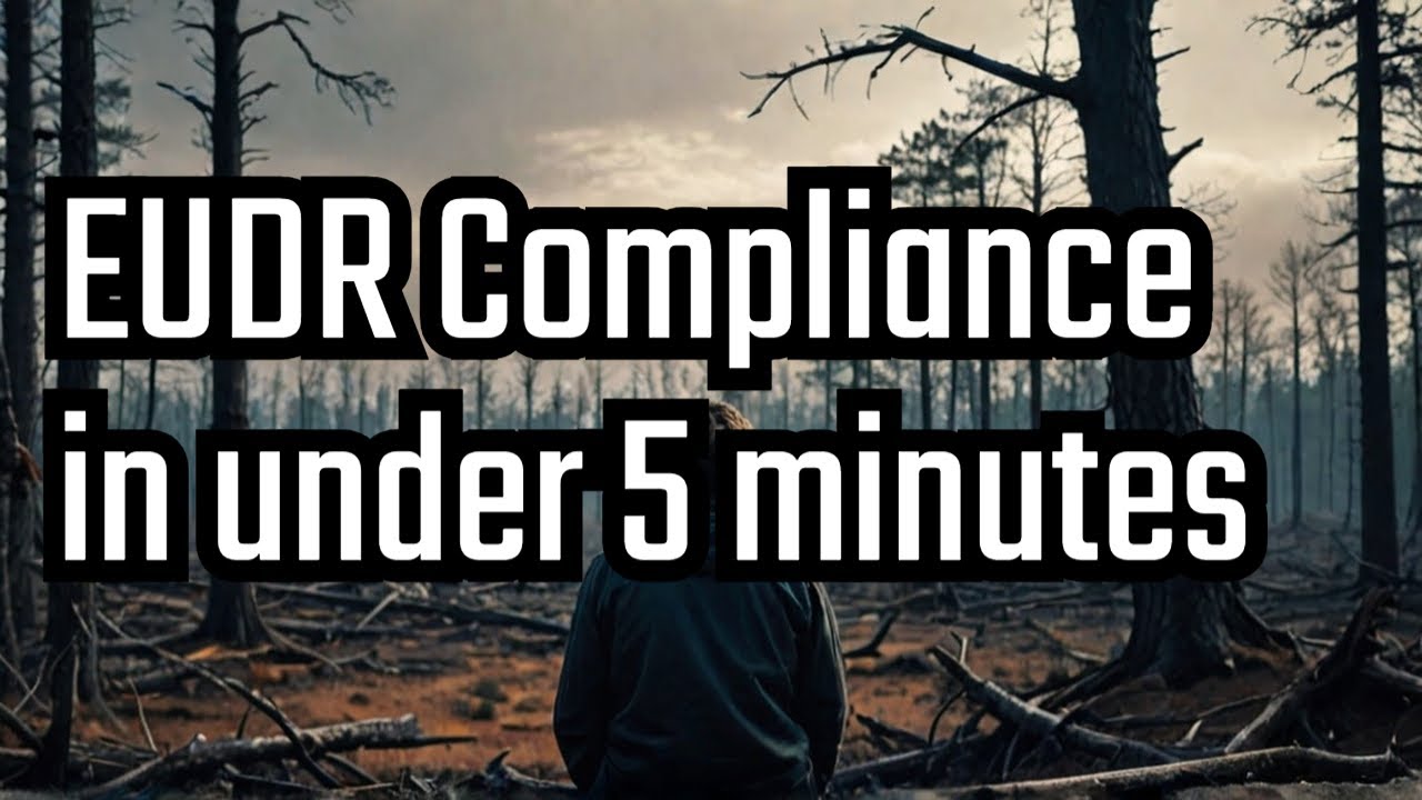 Understanding The EU Deforestation Regulation Is CRUCIAL Now