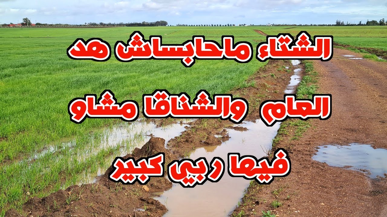 الشتا ماحابساش هد العام ان شاء الله  والشناقة مشاو فيها