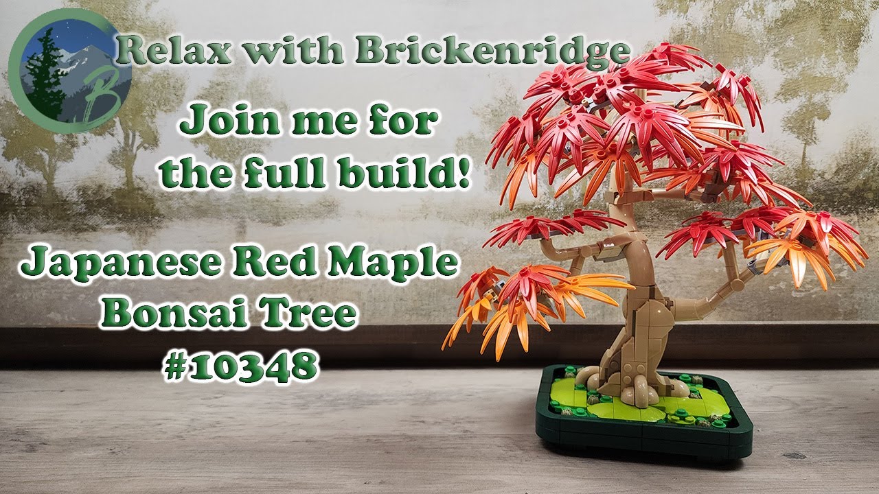 Relaxing Full Build of LEGO Japanese Red Maple Bonsai Tree