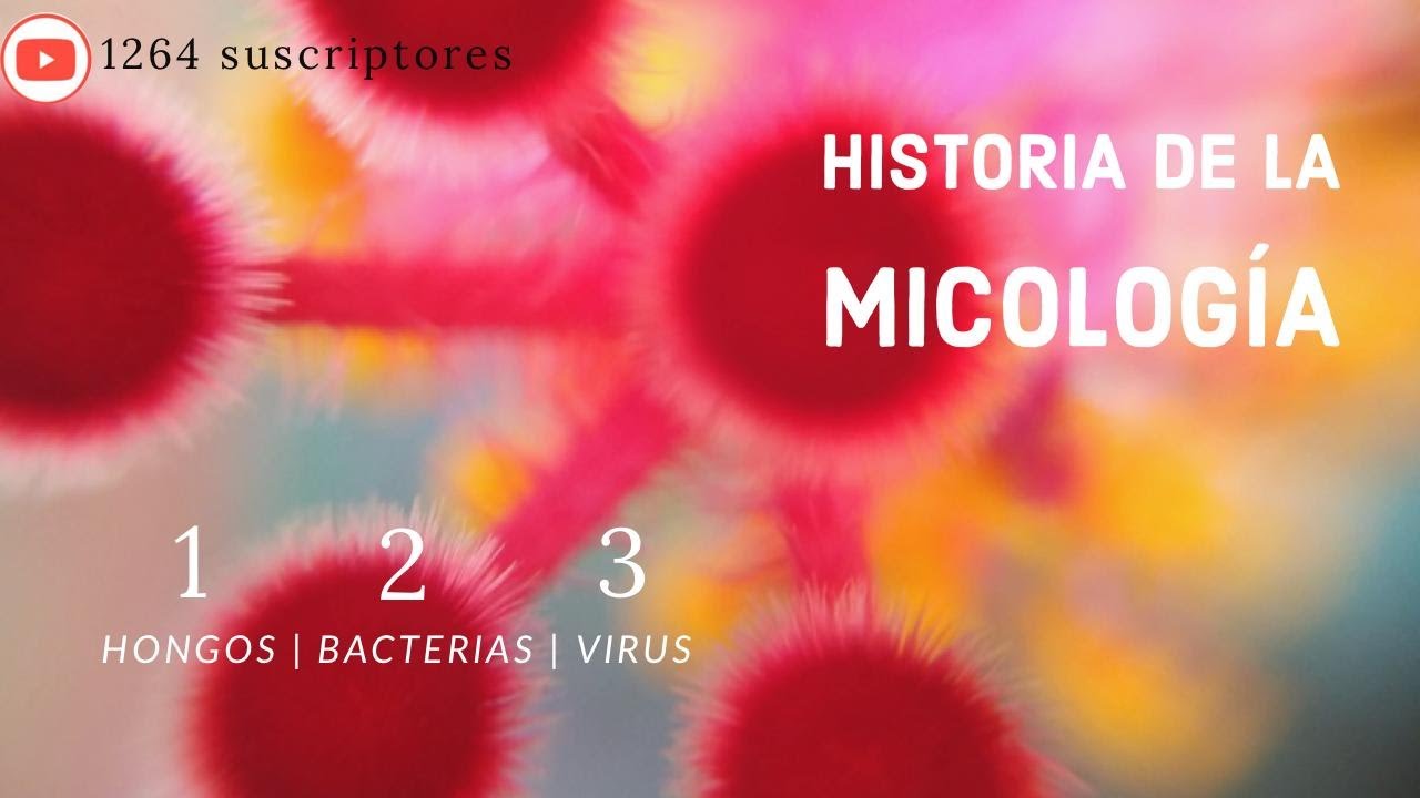 Historia de la micolog&iacute;a | Hongos