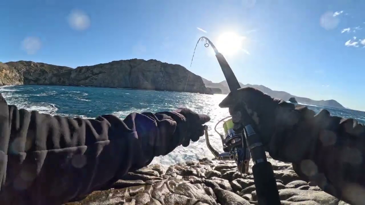 Shore jigging Denti. Fishing Corsica.
