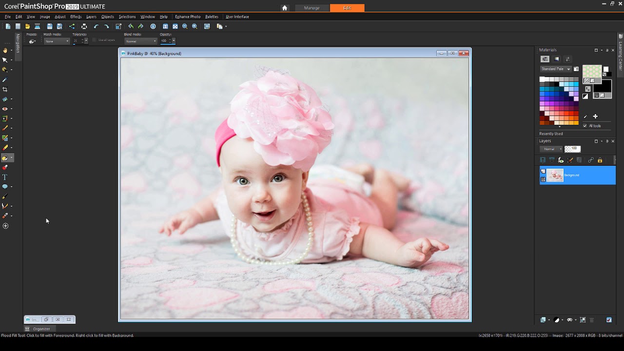 Creating Masks from Selections in PaintShop Pro