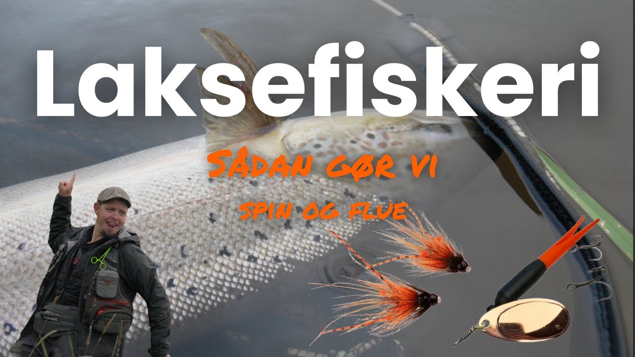 Spin og fluefiskeri efter laks - sådan gør vi | Storåen leverer!