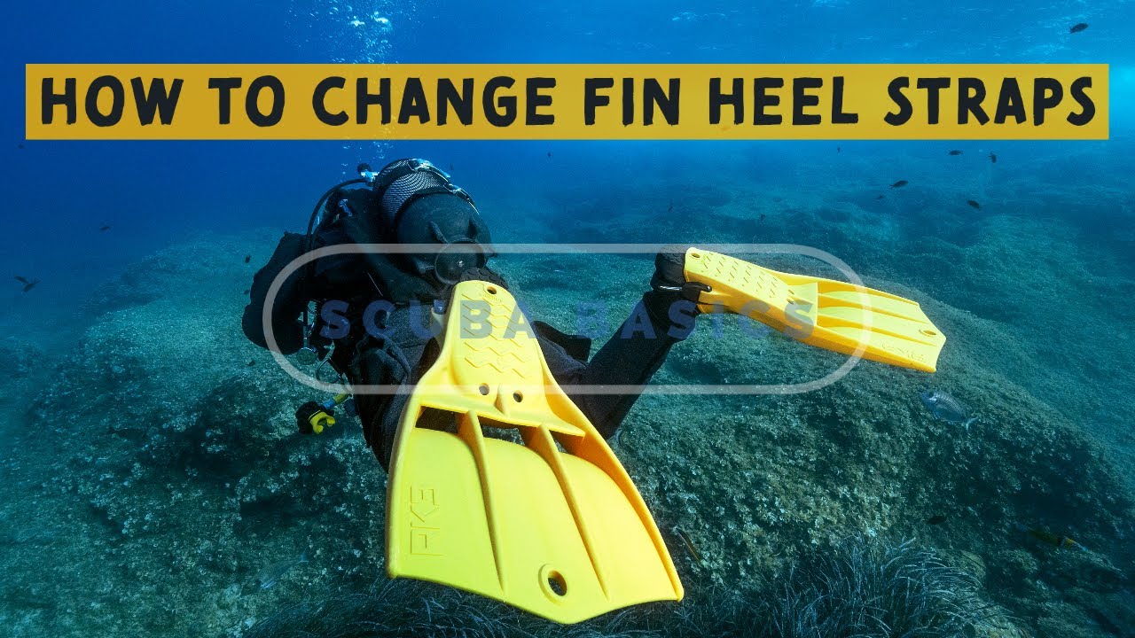 Scuba Diving Basics: Mark Newman Show You How To Replace Fin Heel Straps