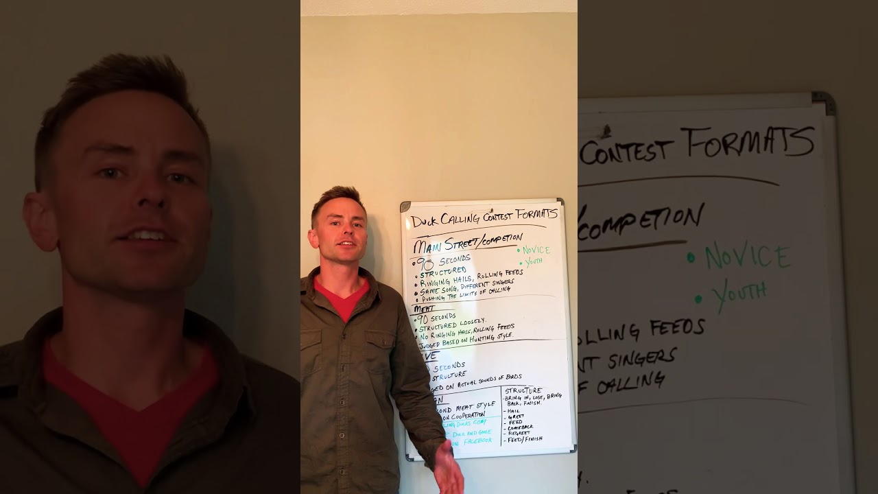 What is a duck calling contest?