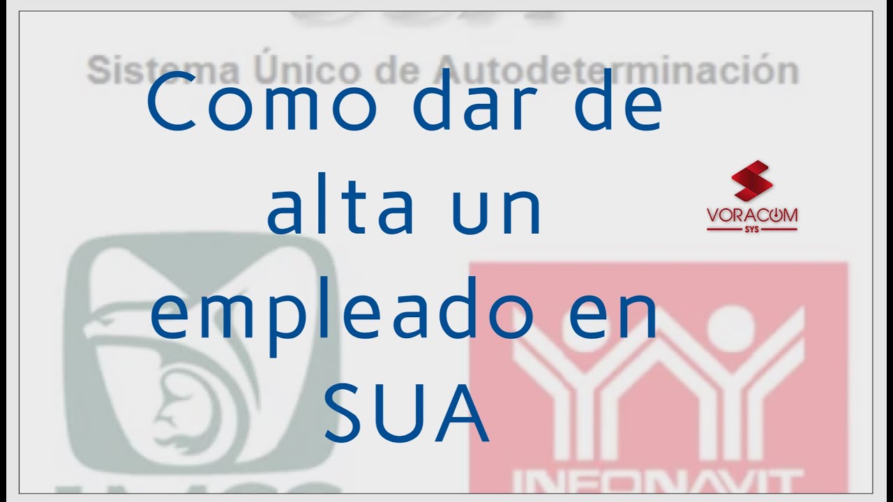 Como dar de alta un empleado en SUA