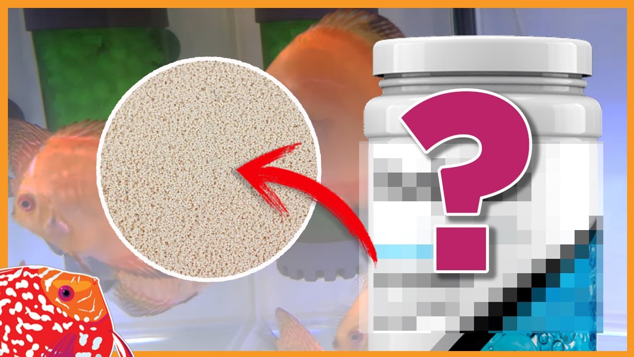 🧪 PURIGEN de Seachem para ACUARIOS de PECES DISCO 🐠 Resina para bajar nitritos y nitratos | AQUARIS