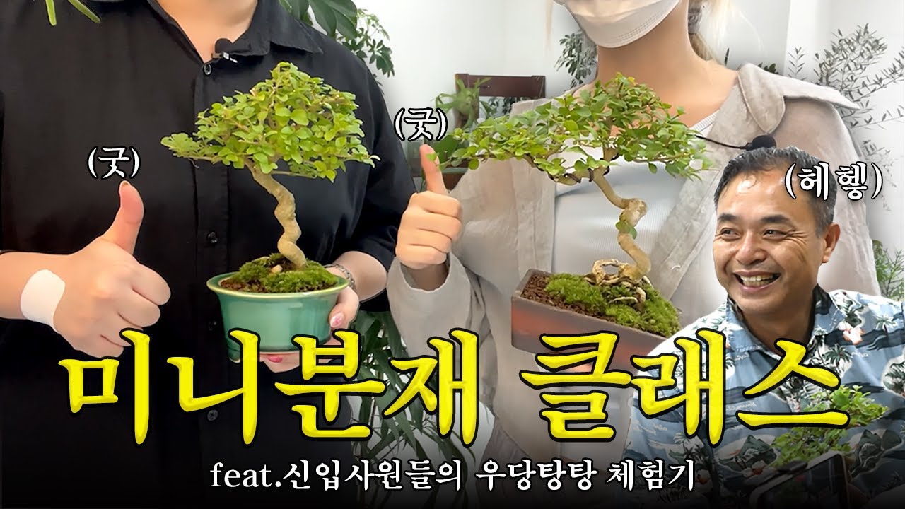 [미니분재 가드닝클래스] 