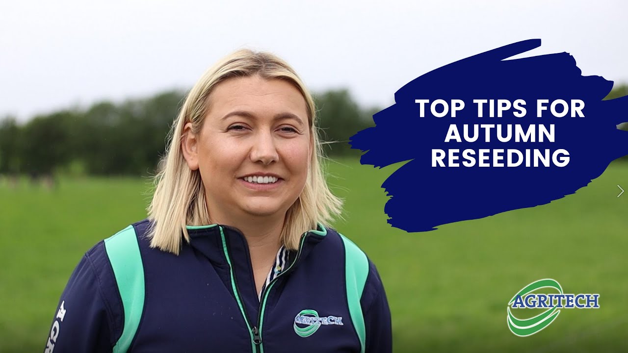 Key steps to successful autumn reseeding | Agritech Ireland