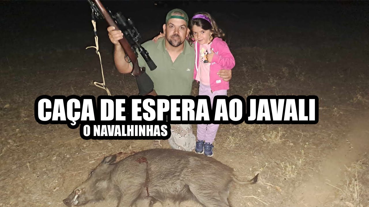 O Navalheiro | Tratamento de um Cevadouro | Caça de Espera ao Javali | Caza del Jabali en Aguardo