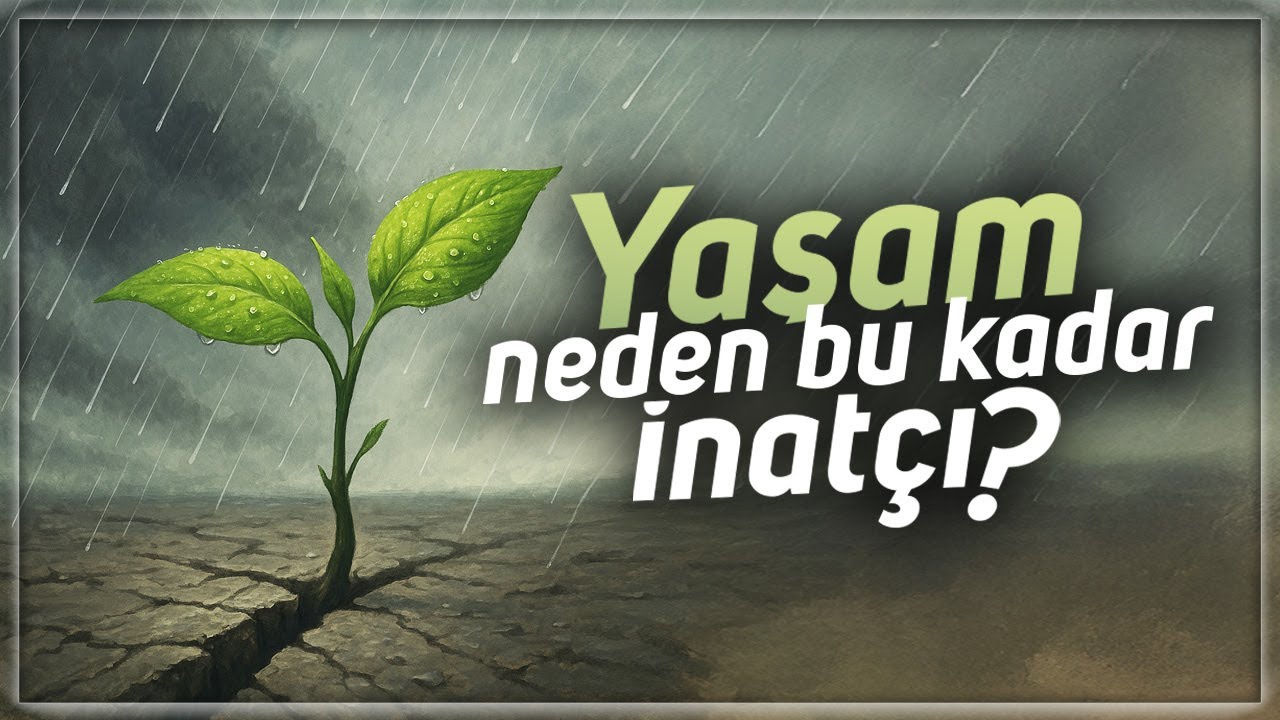 T&uuml;m Canlılar Neden Var Kalmak İstiyor?