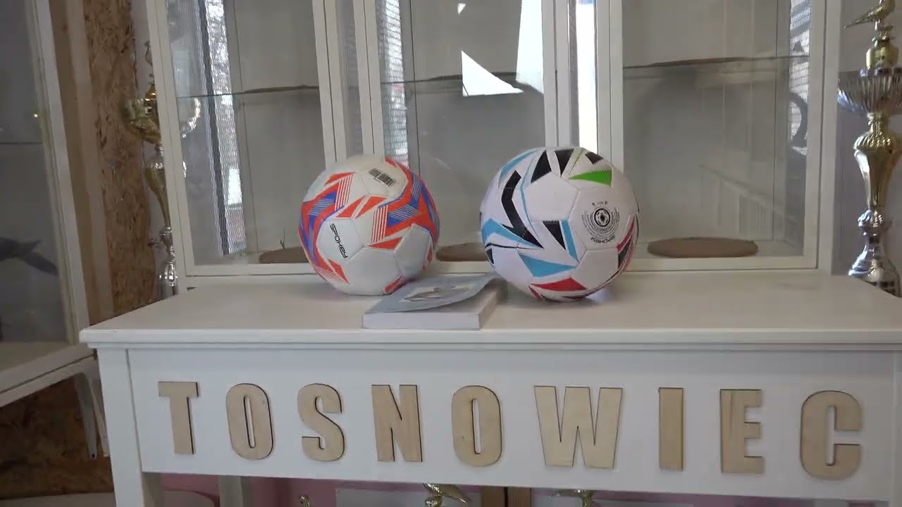 Cisawe i czerwone Lisy - gołębie braci Janssen tel. 728 465 939 szybkie i mądre .