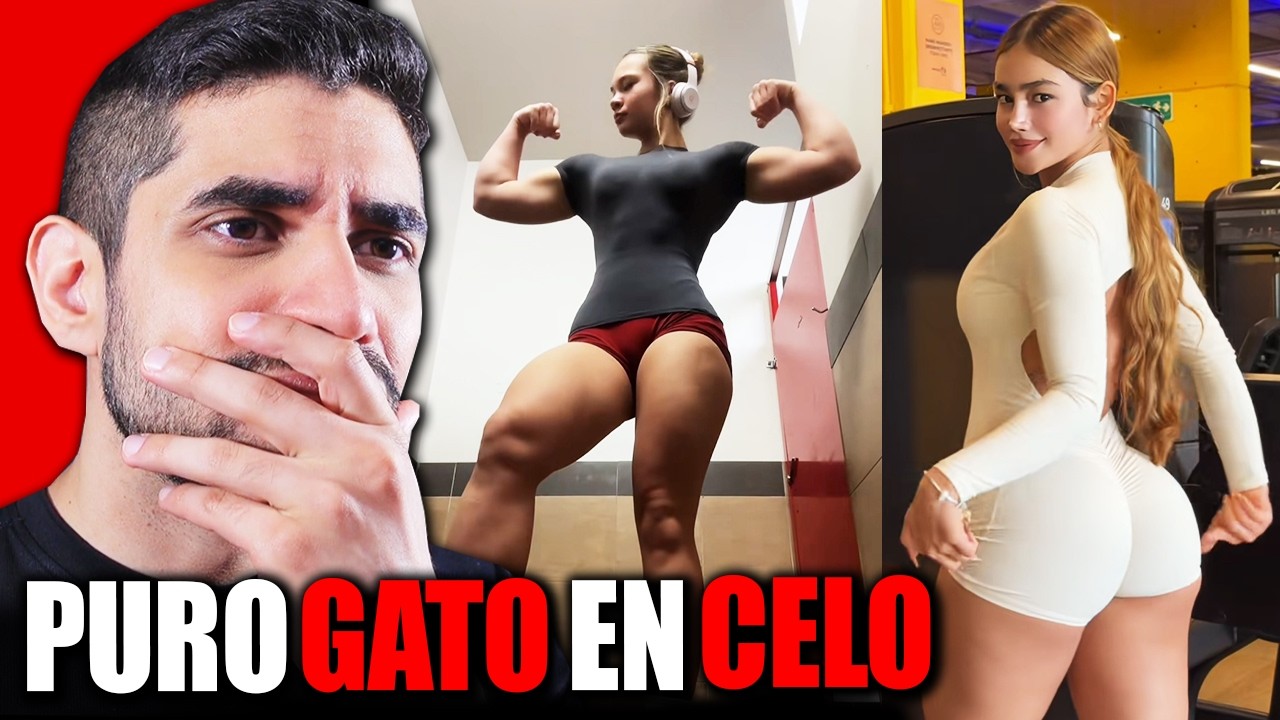 NUNCA BUSQUES 