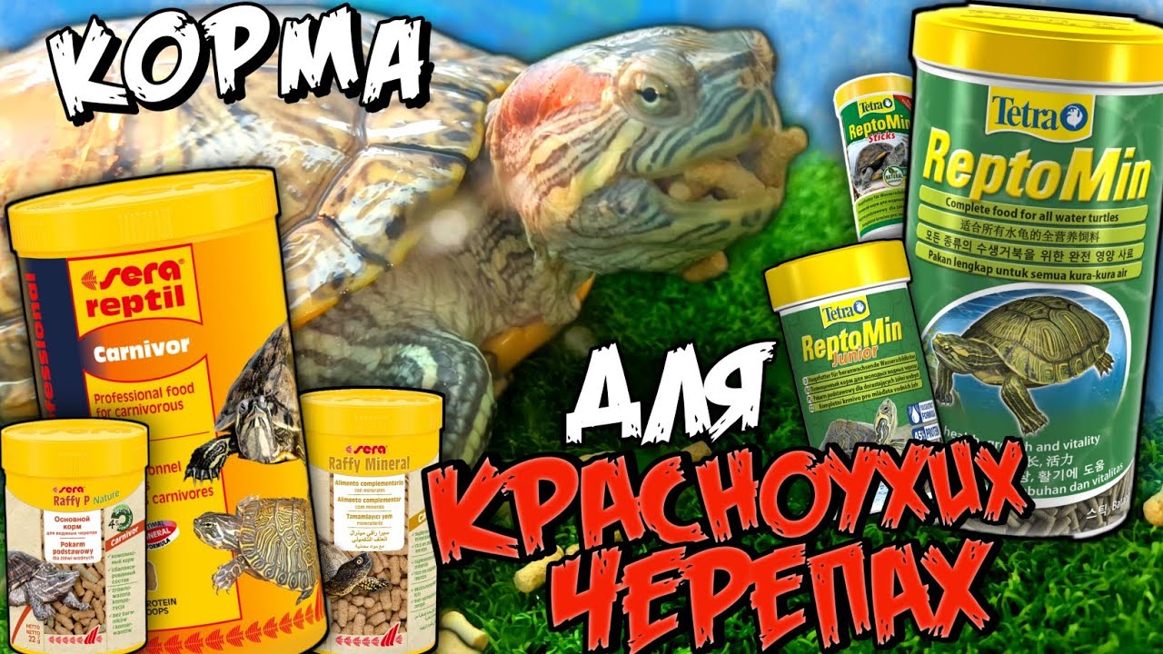 КАКИМИ КОРМАМИ МОЖНО КОРМИТЬ КРАСНОУХИХ ЧЕРЕПАХ▷ОБЗОР германских КОРМОВ Sera и Tetra