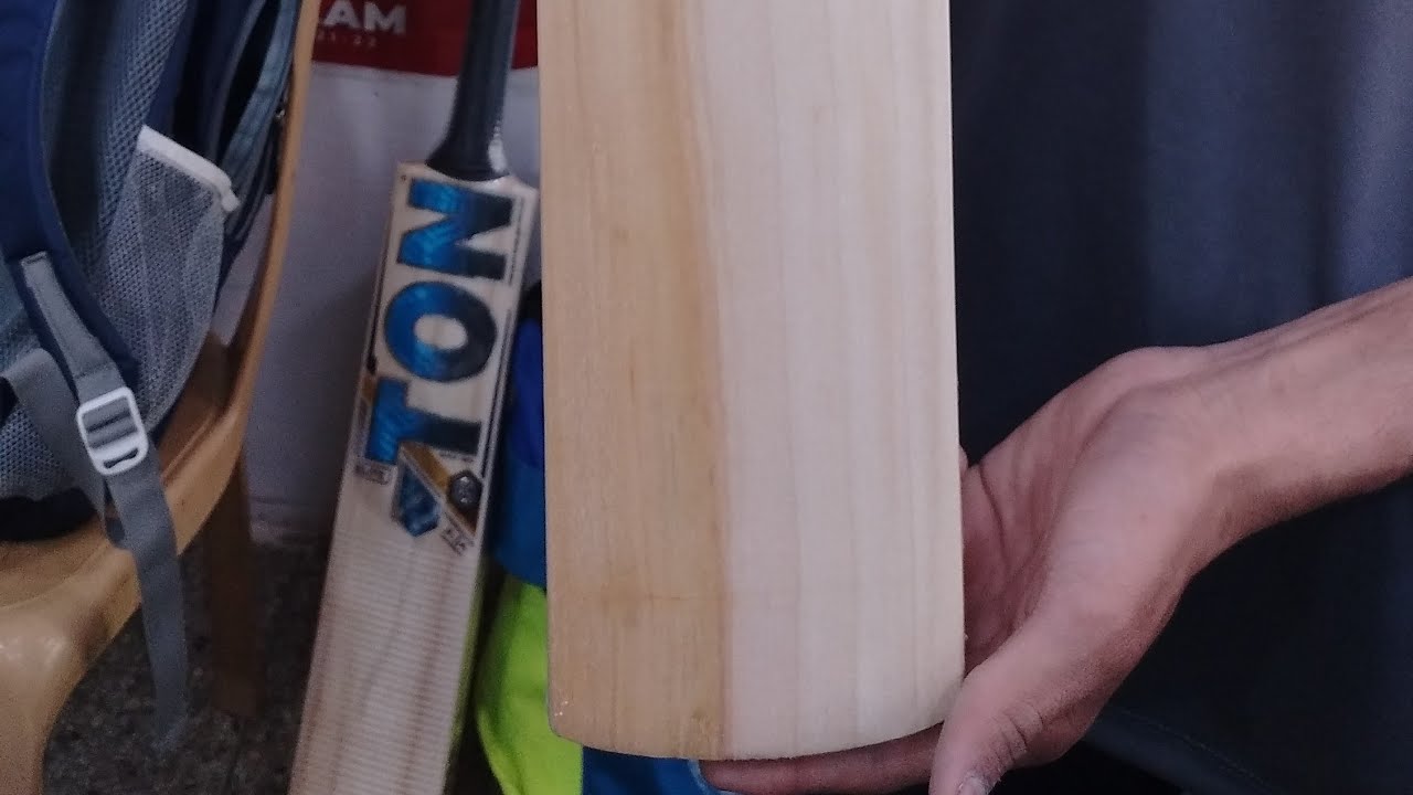 New DSC Blue 200 English Willow bat | Budgeted bat #cricket #cricketlover #cricketnews