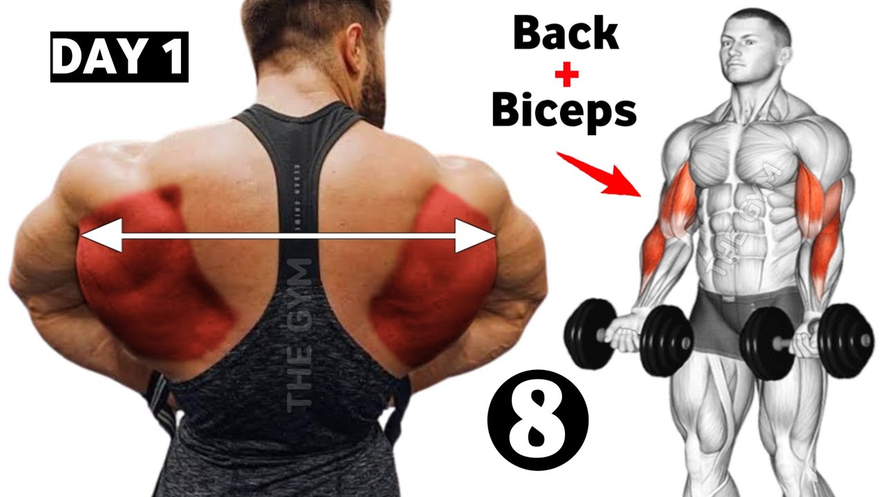 Day 1 Back And Bicep Workout ( 8 Effective Exercises ) - Pull Day Workout
