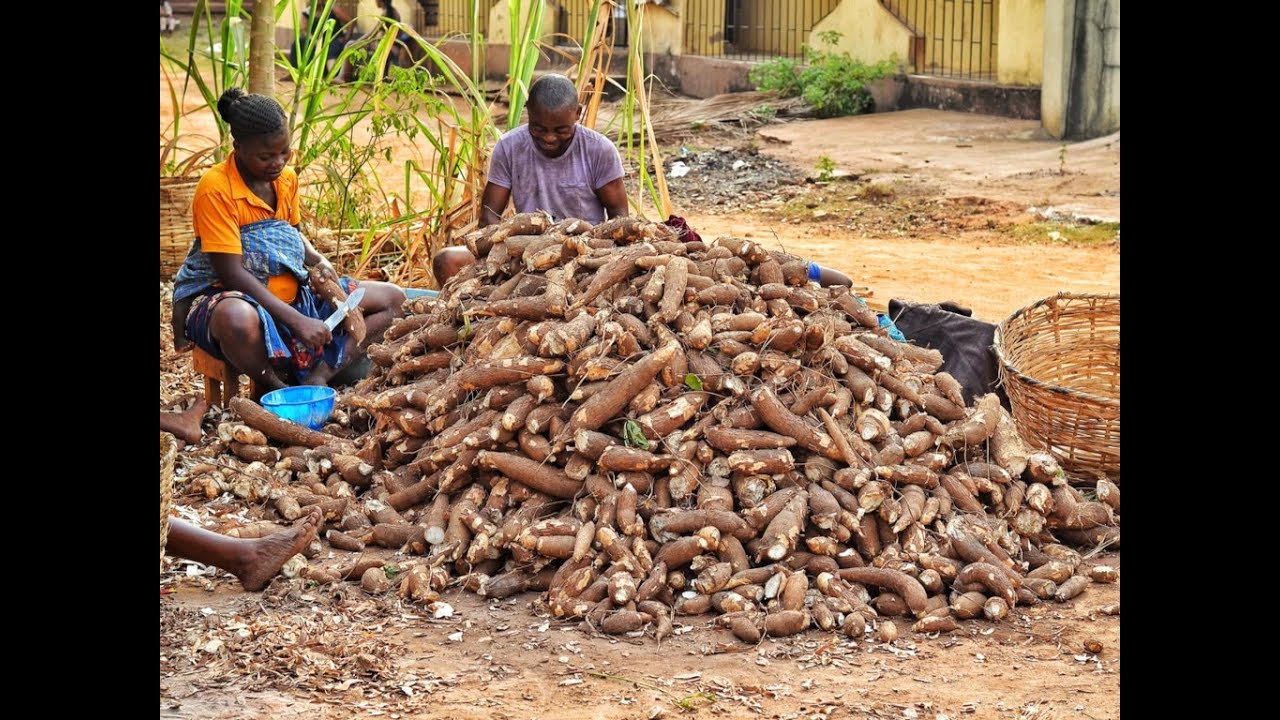 Eveil Patriotique , Congolais Telema Pona Bilanga pour  Combattre la crise Alimentaire