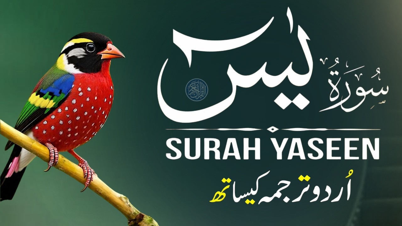 Surah Yaseen with Urdu Translation | Beautiful Recitation by Qari Mansoor Ghaznavi | Ep0028
