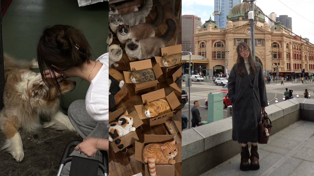 my first steps to independence & adulting | moving abroad as an international student