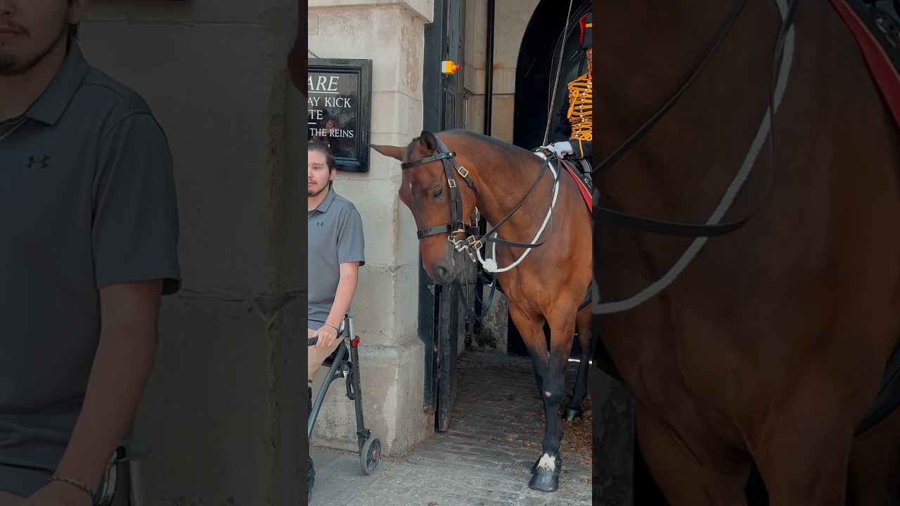 GUARDS KIND ACT ✨💂 | Horse Guards, Royal guard, Kings Guard, Horse, London, 2024