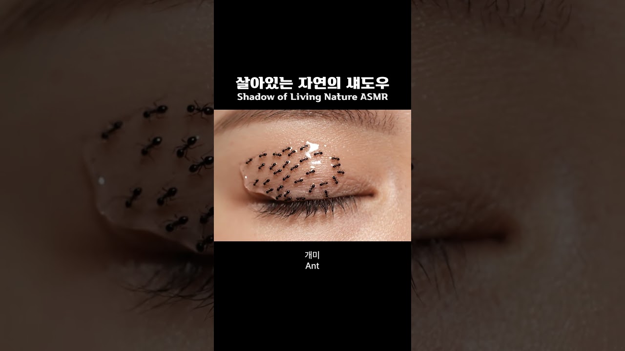 [Surreal Makeup] AI 메이크업 ASMR | 살아있는 자연의 섀도우