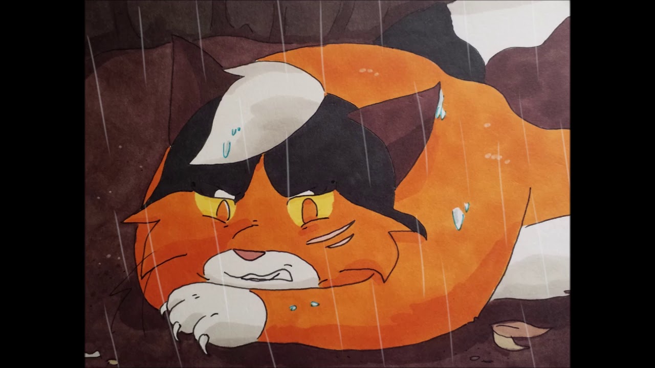 Everything You Ever|| Mapleshade's Vengeance PMV