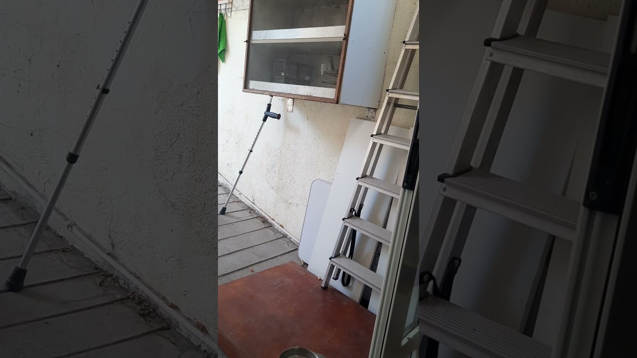 grdelin učitelj i mladac