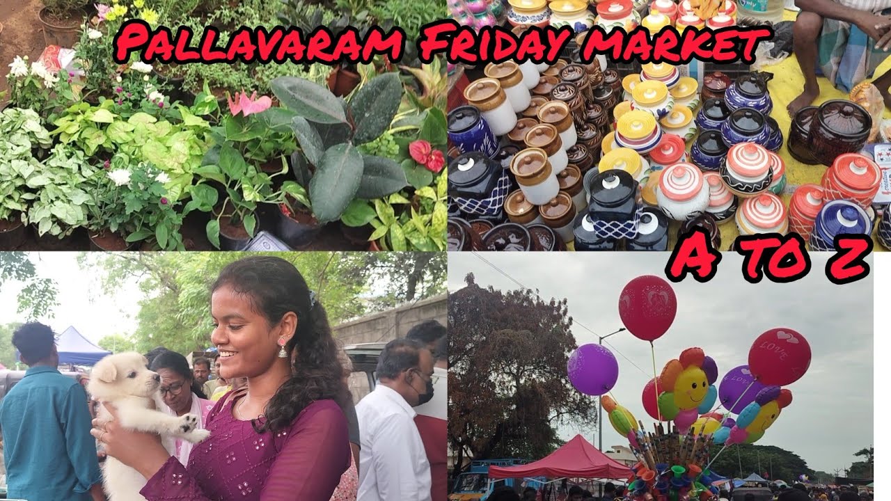Pallavaram Friday market 😳🤯 || A to Z available in Pallavaram market 