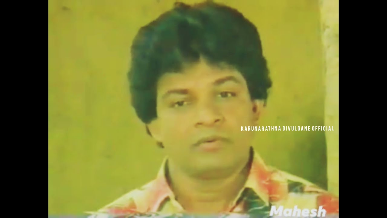 Pinsara Oba Hara (පින්සර ඔබහැර) - Karunarathna Divulgane