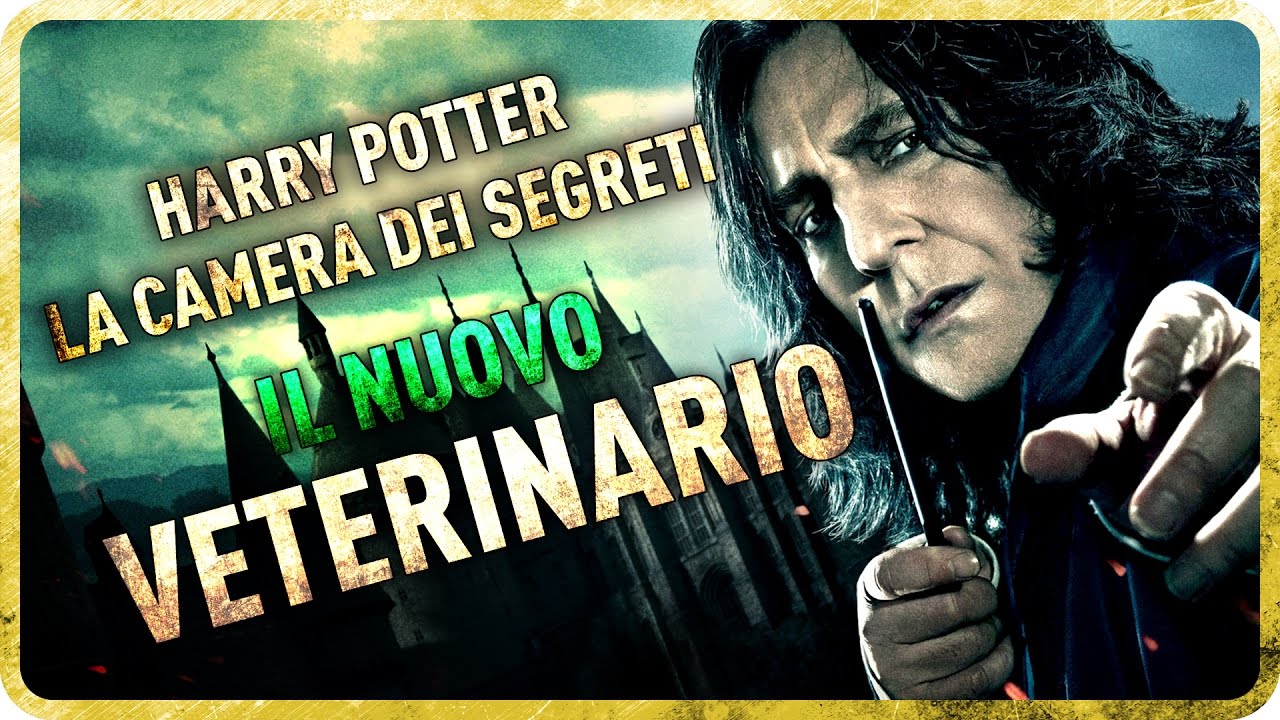 HARRY POTTER - IL NUOVO VETERINARIO