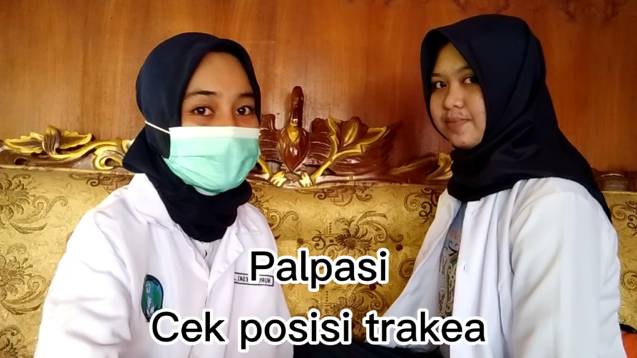 Pemeriksaan Fisik Pada Paru-paru