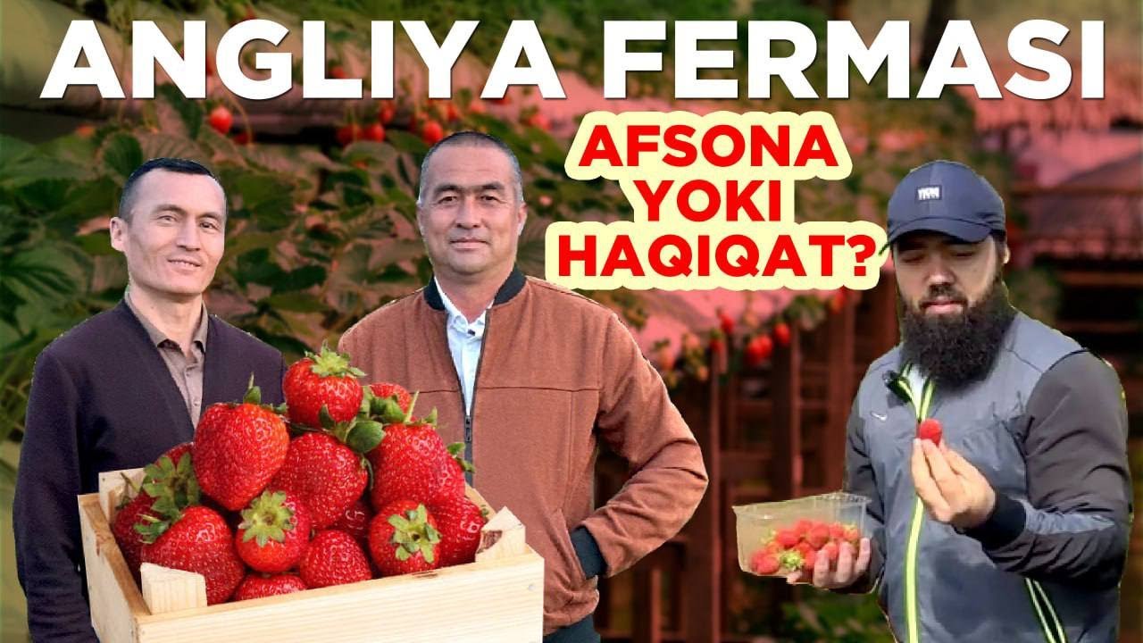 Rossiya ''otmen'', hamma Angliyaga | Mavsumiy ishga ketishda aldanib qolmang