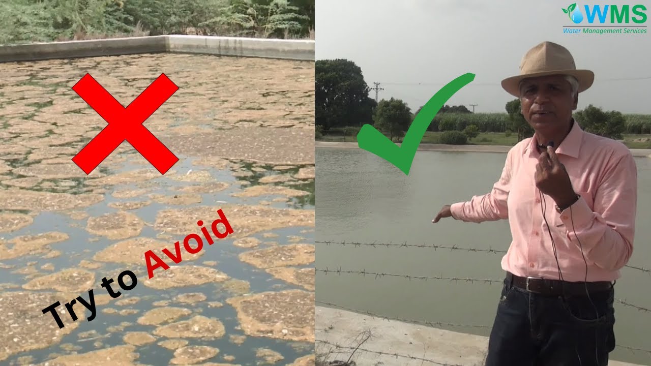 Try to Avoid