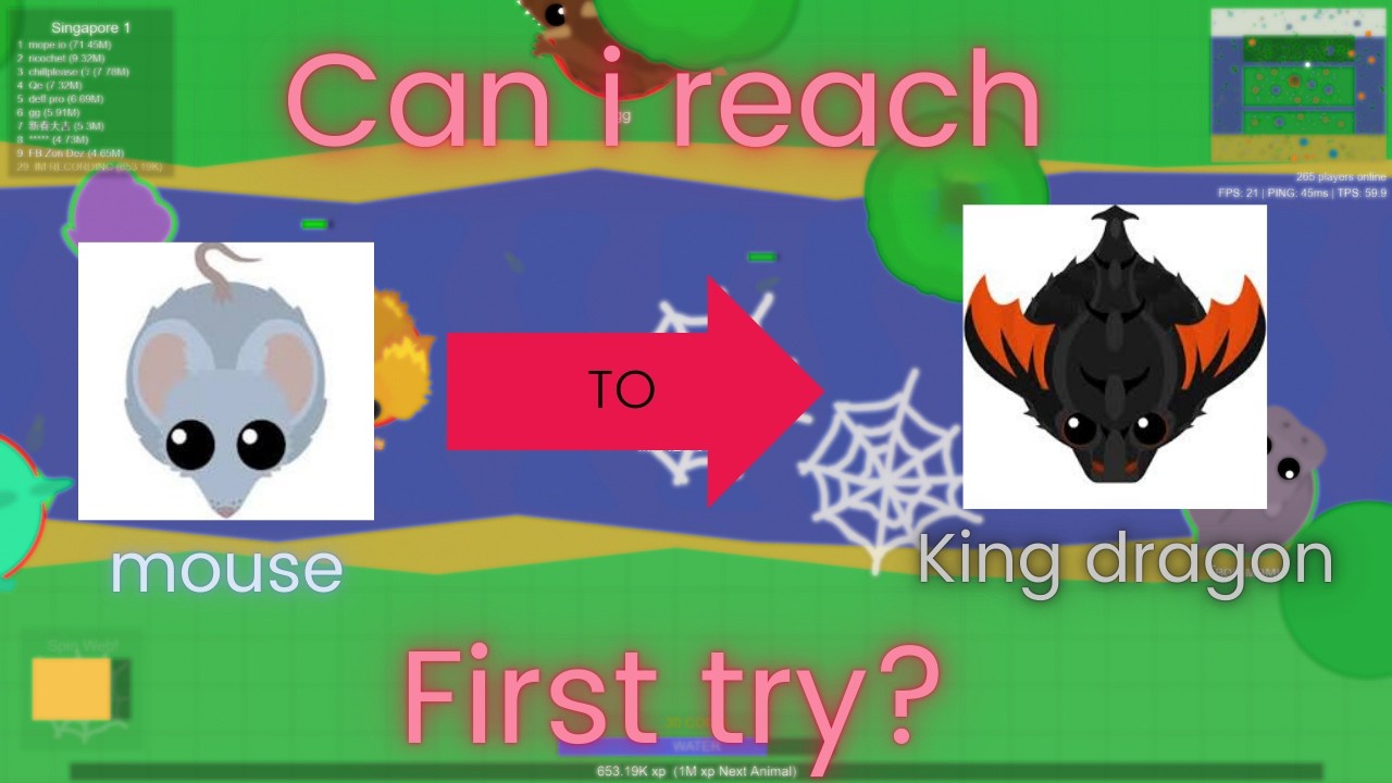Can i reach to the king dragon on the first try?