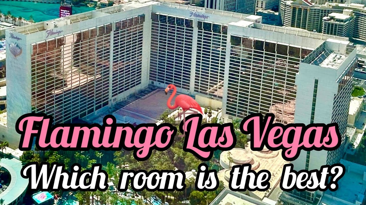 Flamingo Las Vegas: какой номер лучше? Обзор всех башен Flamingo Las Vegas!